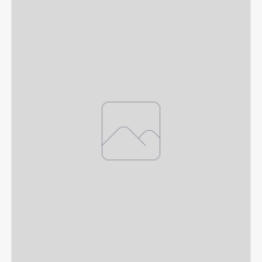 Image e N°1